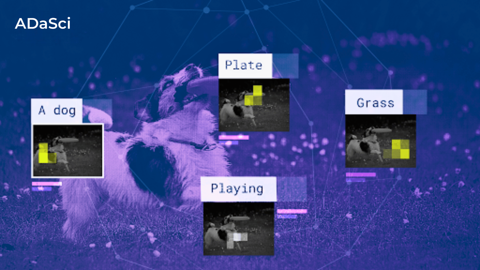 Image Captioning with Mistral 7B LLM: A Hands-on Guide